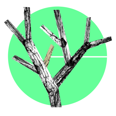 Logo Circuito 2025 Gen OK